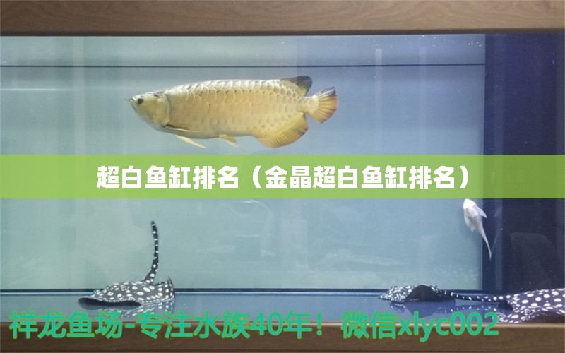 超白鱼缸排名（金晶超白鱼缸排名） iwish爱唯希品牌鱼缸