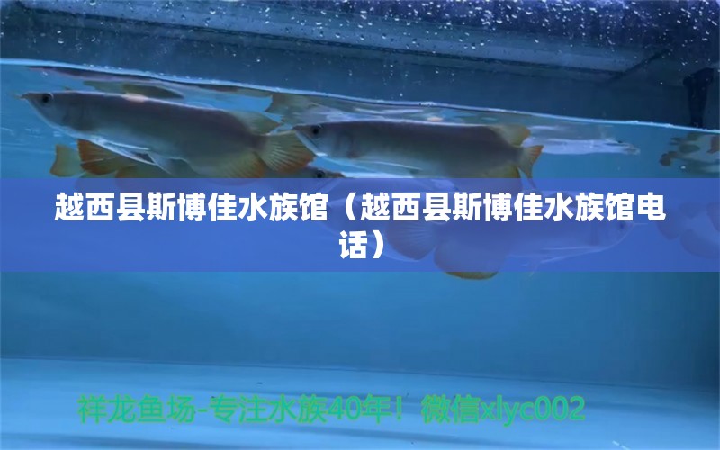 越西县斯博佳水族馆（越西县斯博佳水族馆电话）