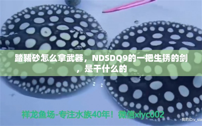 踏鞴砂怎么拿武器，NDSDQ9的一把生锈的剑，是干什么的