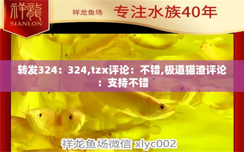 转发324：324,tzx评论：不错,极道猫渣评论：支持不错 观赏鱼论坛 第2张