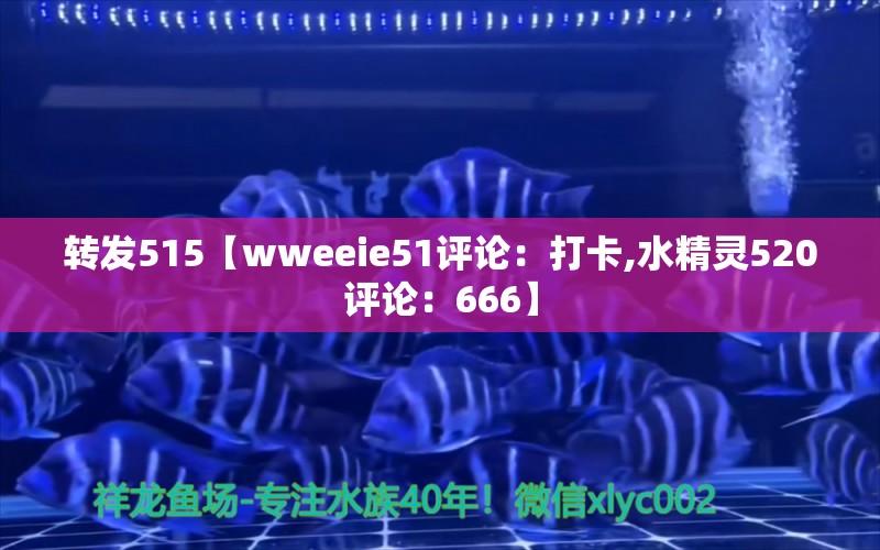 转发515【wweeie51评论：打卡,水精灵520评论：666】 观赏鱼论坛 第2张