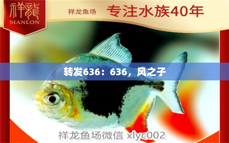 转发636：636，风之子 观赏鱼论坛 第3张