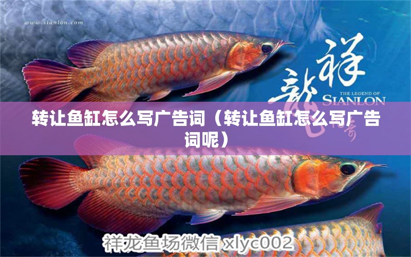 转让鱼缸怎么写广告词（转让鱼缸怎么写广告词呢） 祥龙水族医院