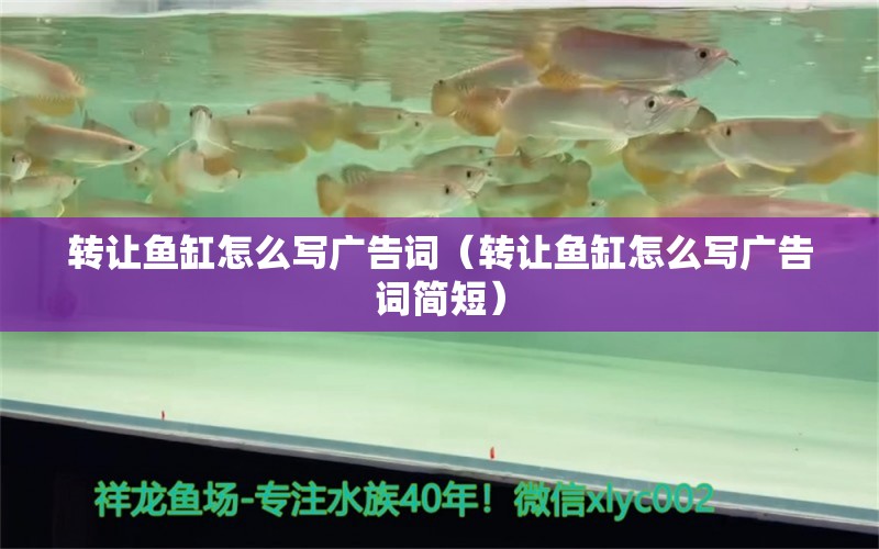 转让鱼缸怎么写广告词（转让鱼缸怎么写广告词简短） 祥龙水族医院