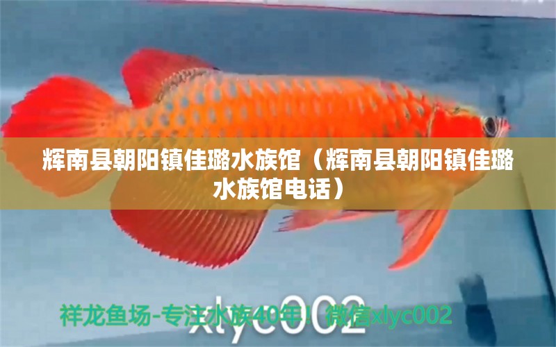 辉南县朝阳镇佳璐水族馆（辉南县朝阳镇佳璐水族馆电话） 全国水族馆企业名录