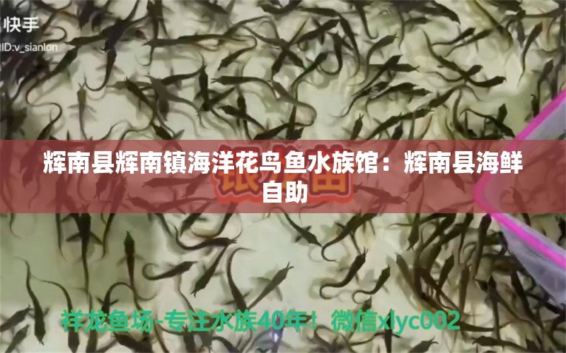 辉南县辉南镇海洋花鸟鱼水族馆：辉南县海鲜自助 全国水族馆企业名录