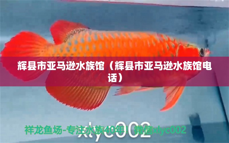 辉县市亚马逊水族馆（辉县市亚马逊水族馆电话）