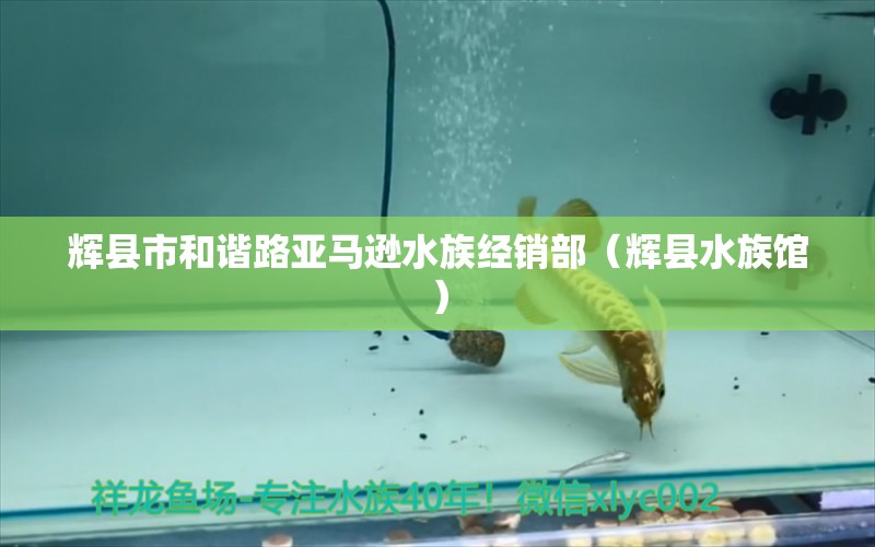 辉县市和谐路亚马逊水族经销部（辉县水族馆）