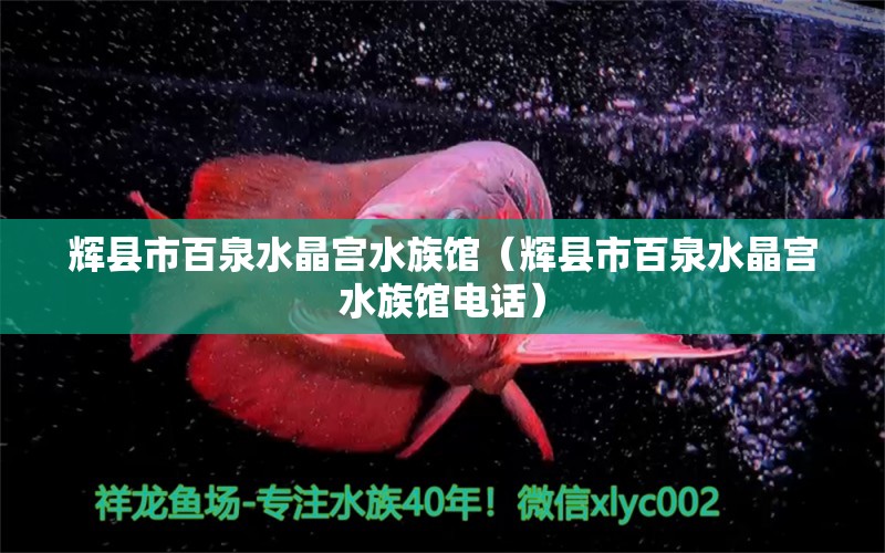 辉县市百泉水晶宫水族馆（辉县市百泉水晶宫水族馆电话）