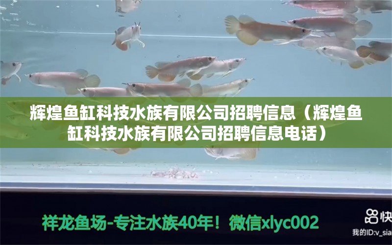 辉煌鱼缸科技水族有限公司招聘信息（辉煌鱼缸科技水族有限公司招聘信息电话） 祥龙鱼场