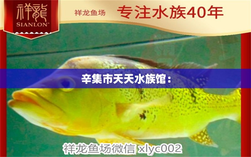 辛集市天天水族馆： 全国水族馆企业名录