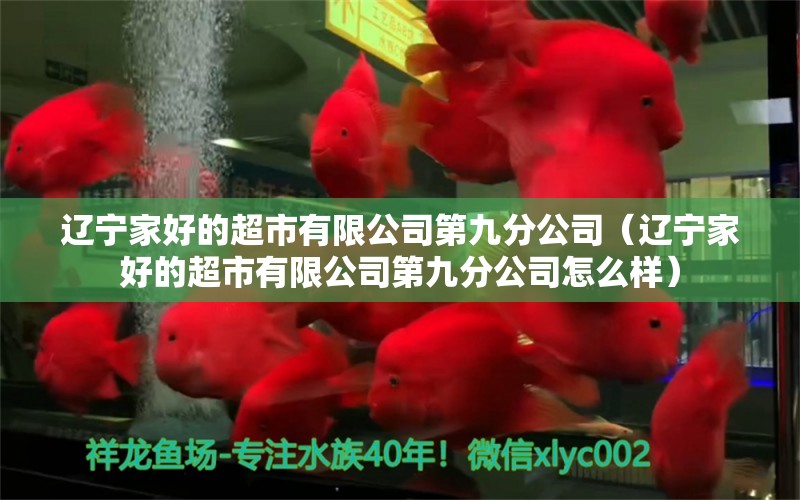 辽宁家好的超市有限公司第九分公司（辽宁家好的超市有限公司第九分公司怎么样） 全国水族馆企业名录