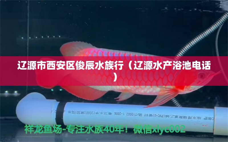 辽源市西安区俊辰水族行（辽源水产浴池电话）