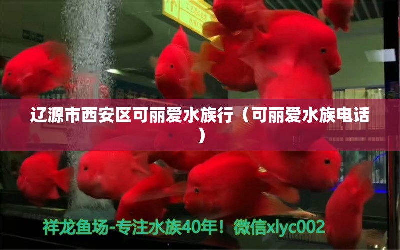 辽源市西安区可丽爱水族行（可丽爱水族电话）