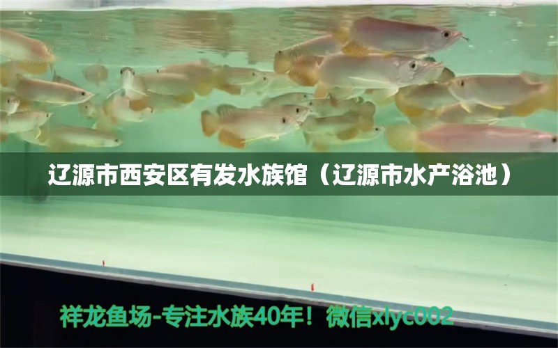 辽源市西安区有发水族馆（辽源市水产浴池）