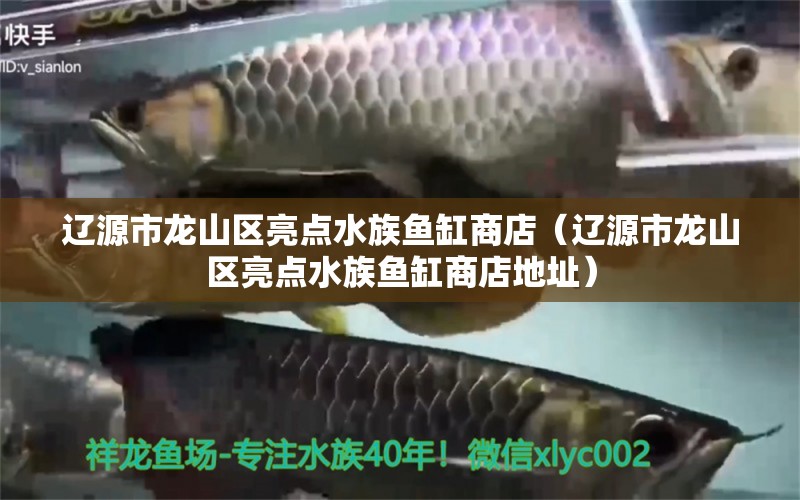 辽源市龙山区亮点水族鱼缸商店（辽源市龙山区亮点水族鱼缸商店地址） 全国水族馆企业名录