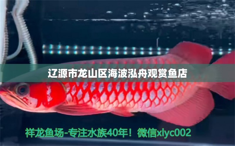 辽源市龙山区海波泓舟观赏鱼店 全国水族馆企业名录