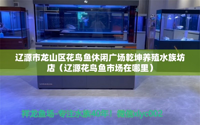 辽源市龙山区花鸟鱼休闲广场乾坤养殖水族坊店（辽源花鸟鱼市场在哪里）