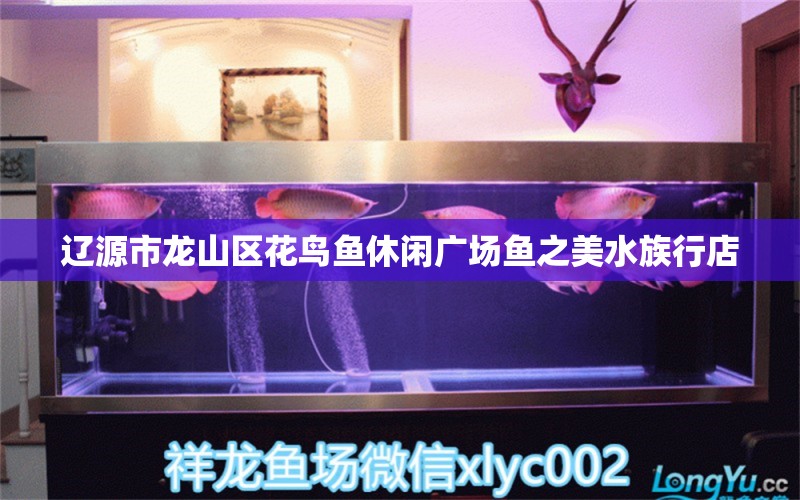 辽源市龙山区花鸟鱼休闲广场鱼之美水族行店 全国水族馆企业名录