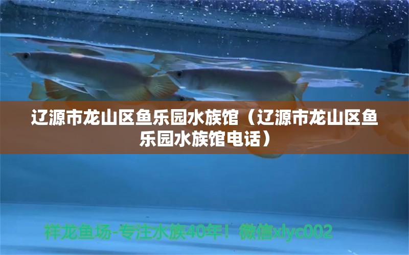 辽源市龙山区鱼乐园水族馆（辽源市龙山区鱼乐园水族馆电话）