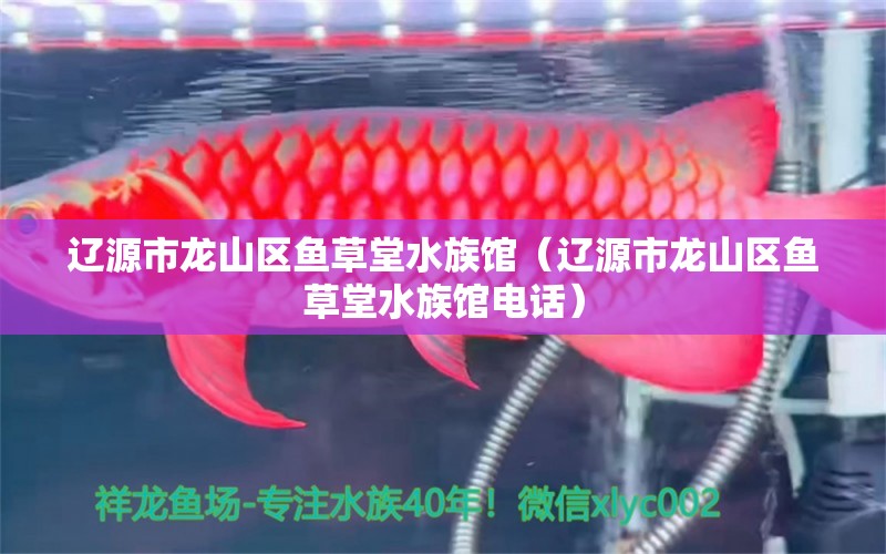 辽源市龙山区鱼草堂水族馆（辽源市龙山区鱼草堂水族馆电话）