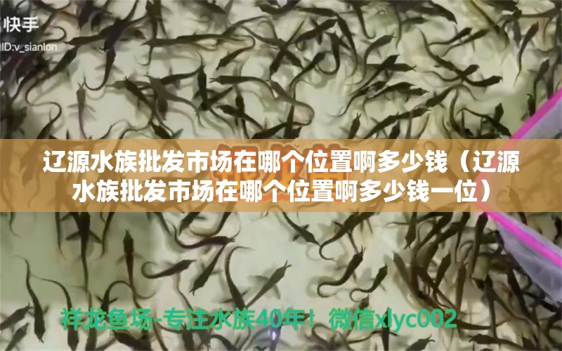 辽源水族批发市场在哪个位置啊多少钱（辽源水族批发市场在哪个位置啊多少钱一位）