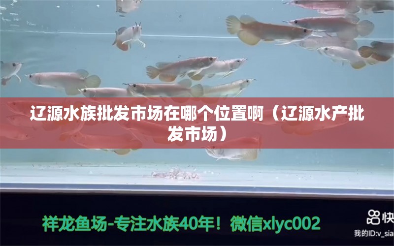 辽源水族批发市场在哪个位置啊（辽源水产批发市场） 观赏鱼水族批发市场