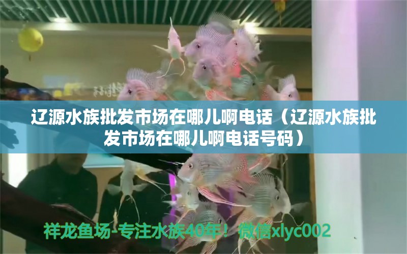 辽源水族批发市场在哪儿啊电话（辽源水族批发市场在哪儿啊电话号码） 观赏鱼水族批发市场