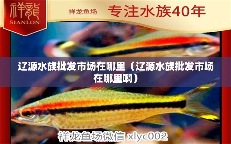 辽源水族批发市场在哪里（辽源水族批发市场在哪里啊）