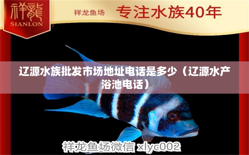 辽源水族批发市场地址电话是多少（辽源水产浴池电话） 养鱼知识 第1张