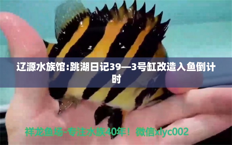 辽源水族馆:跳湖日记39—3号缸改造入鱼倒计时