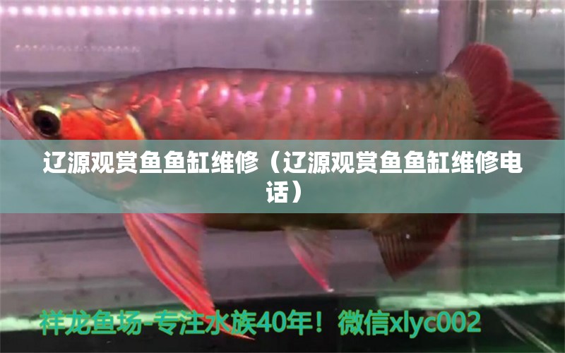 辽源观赏鱼鱼缸维修（辽源观赏鱼鱼缸维修电话） 祥龙水族医院