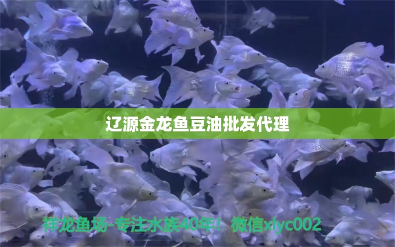 辽源金龙鱼豆油批发代理 祥龙鱼场