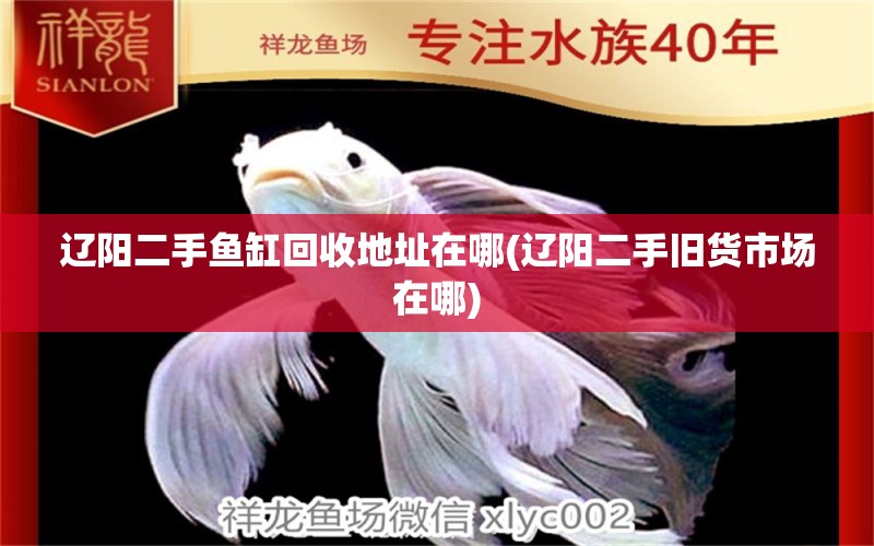 辽阳二手鱼缸回收地址在哪(辽阳二手旧货市场在哪) 祥龙水族护理水