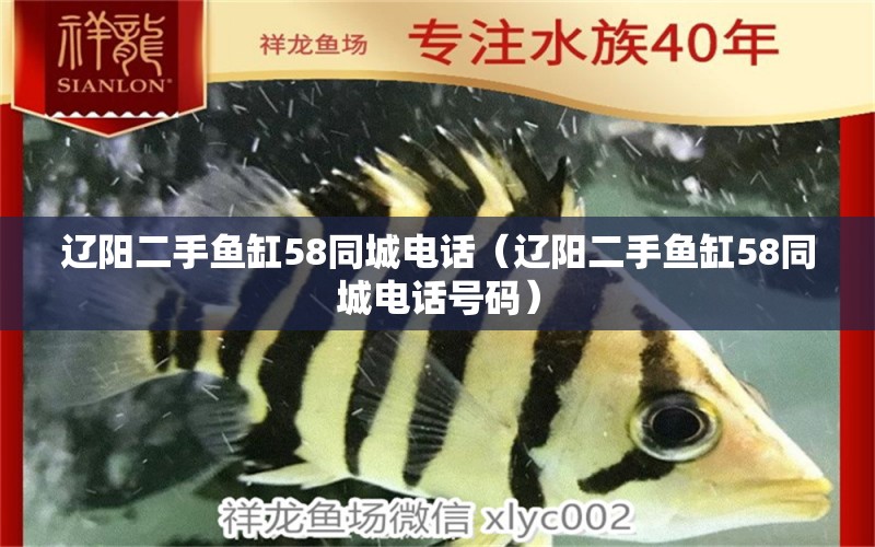 辽阳二手鱼缸58同城电话（辽阳二手鱼缸58同城电话号码）