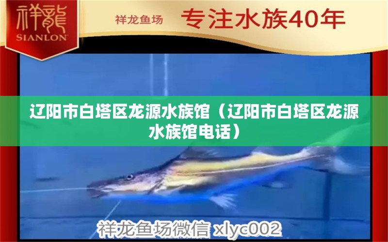 辽阳市白塔区龙源水族馆（辽阳市白塔区龙源水族馆电话） 全国水族馆企业名录