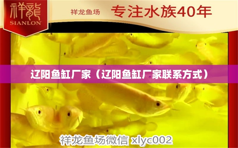 辽阳鱼缸厂家（辽阳鱼缸厂家联系方式） 祥龙水族医院