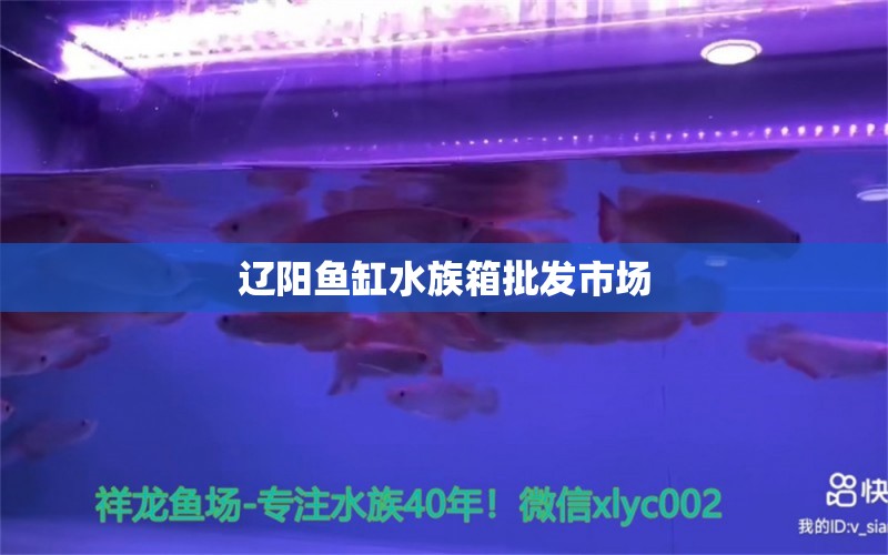 辽阳鱼缸水族箱批发市场