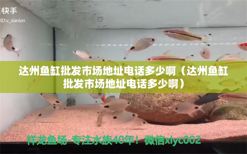 达州鱼缸批发市场地址电话多少啊（达州鱼缸批发市场地址电话多少啊） 铁甲武士