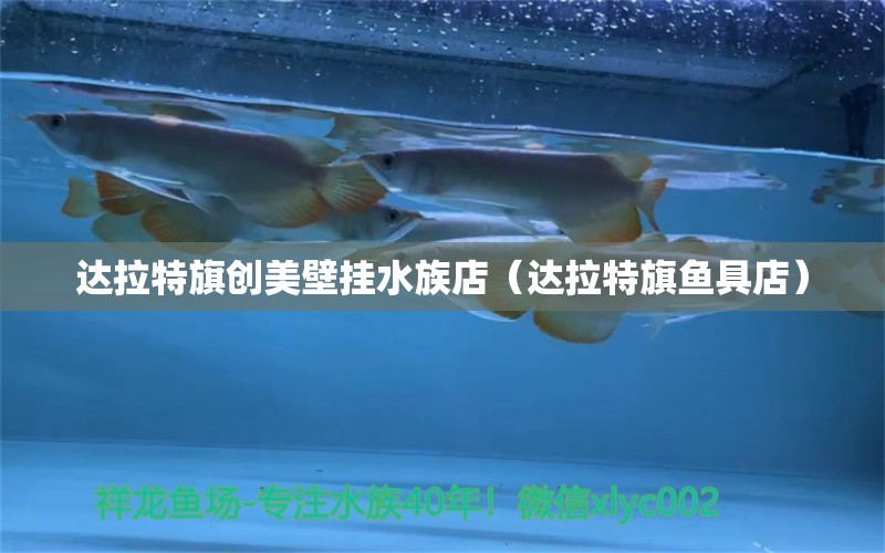 达拉特旗创美壁挂水族店（达拉特旗鱼具店）