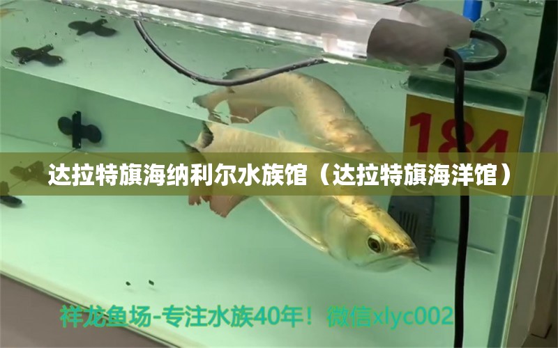 达拉特旗海纳利尔水族馆（达拉特旗海洋馆）