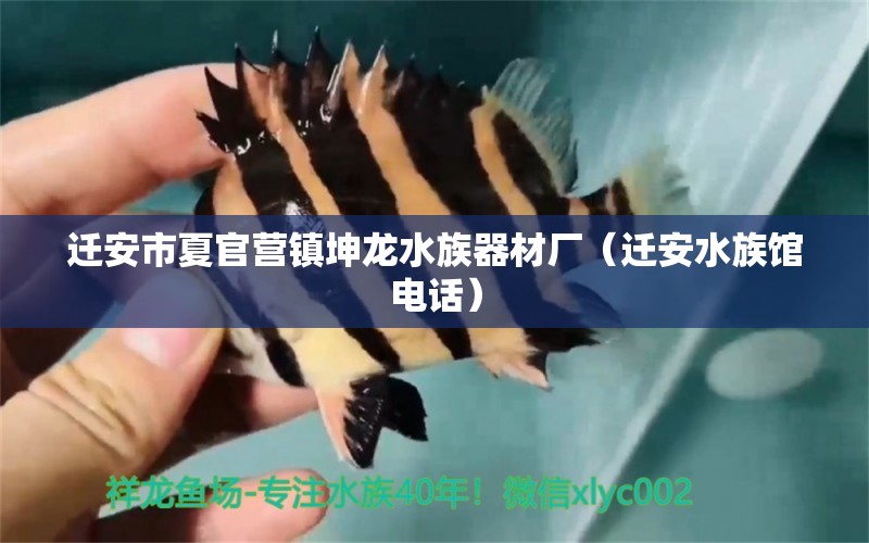 迁安市夏官营镇坤龙水族器材厂（迁安水族馆电话） 全国水族馆企业名录