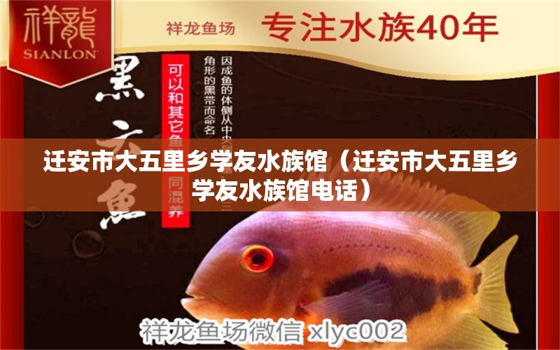 迁安市大五里乡学友水族馆（迁安市大五里乡学友水族馆电话） 全国水族馆企业名录