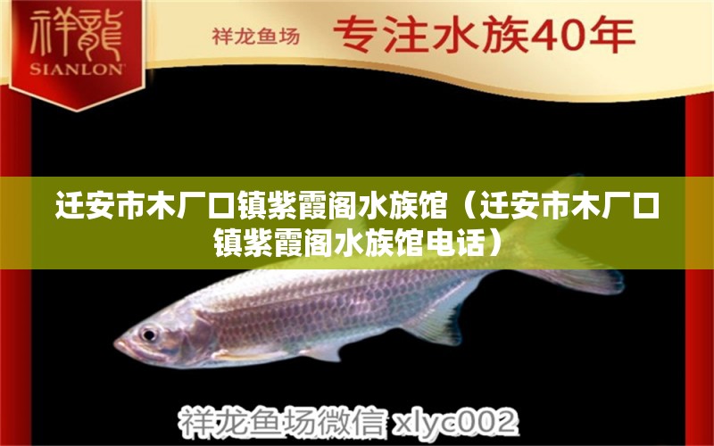 迁安市木厂口镇紫霞阁水族馆（迁安市木厂口镇紫霞阁水族馆电话）