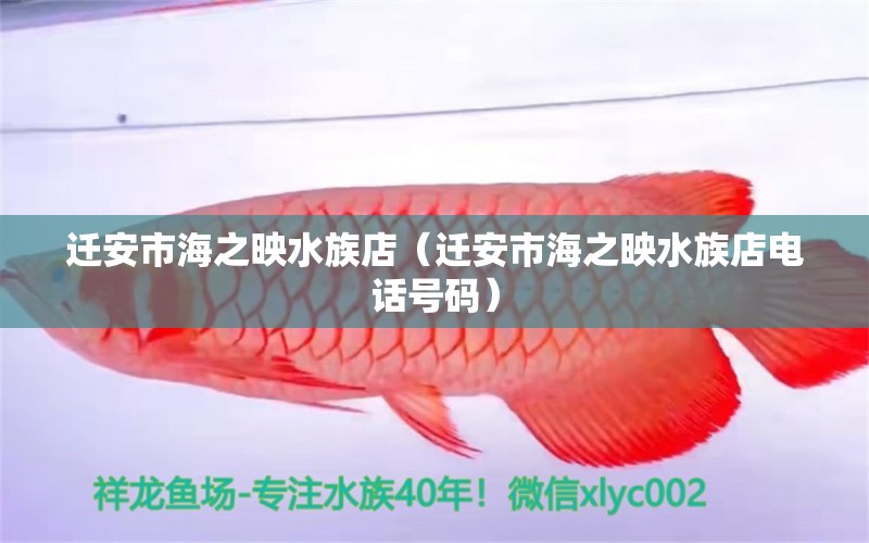 迁安市海之映水族店（迁安市海之映水族店电话号码） 全国水族馆企业名录