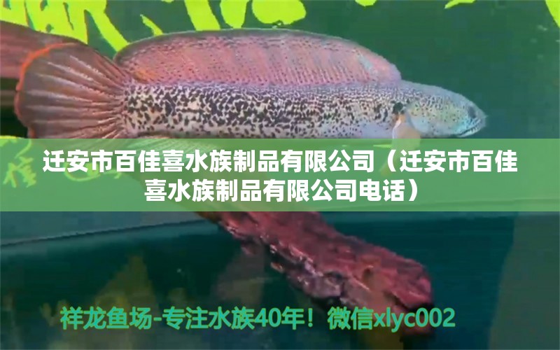 迁安市百佳喜水族制品有限公司（迁安市百佳喜水族制品有限公司电话） 全国水族馆企业名录