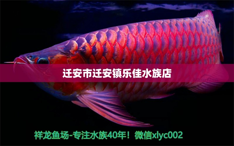 迁安市迁安镇乐佳水族店