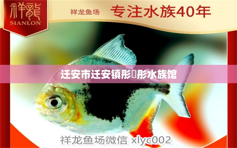 迁安市迁安镇彤珣彤水族馆