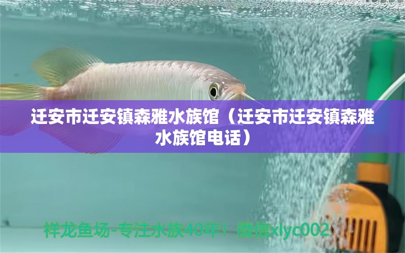 迁安市迁安镇森雅水族馆（迁安市迁安镇森雅水族馆电话）