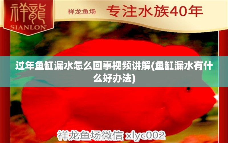 过年鱼缸漏水怎么回事视频讲解(鱼缸漏水有什么好办法) 麦肯斯银版鱼 第1张